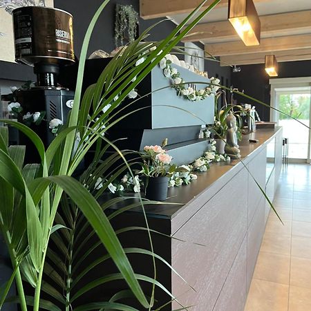 Bed & Breakfast La Rondinella Cerasolo Dış mekan fotoğraf