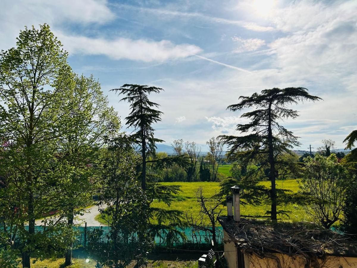 Bed & Breakfast La Rondinella Cerasolo Dış mekan fotoğraf