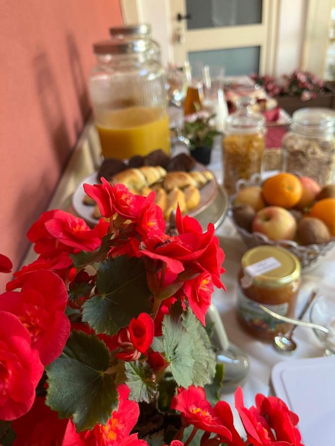 Bed & Breakfast La Rondinella Cerasolo Dış mekan fotoğraf