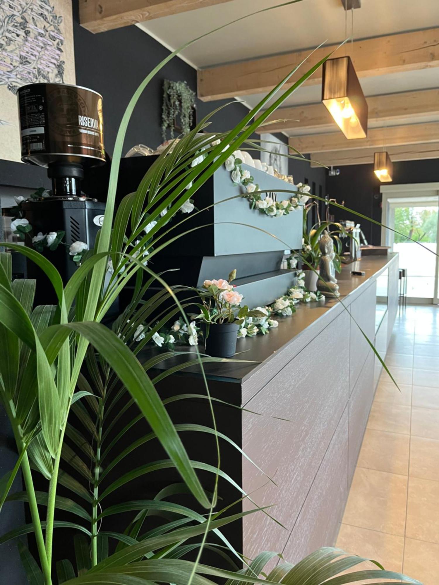 Bed & Breakfast La Rondinella Cerasolo Dış mekan fotoğraf